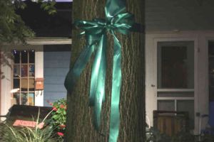 Blissfield Michigan Ribbon Tied On Tree