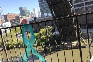 Chicago IL Teal Lights Ribbon Fence Day