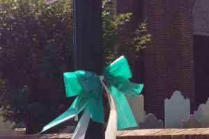 Delaware Ovarian Cancer Foundation Lewes Delaware Ribbon On Post