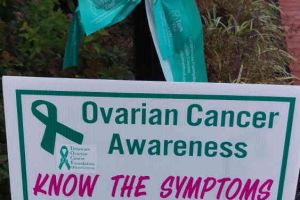 Delaware Ovarian Cancer Foundation Middletown Delaware Sign Ribbon Lamp