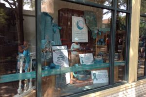 Greenwood South Carolina General Store Teal Window Display