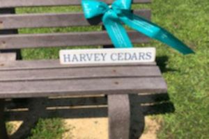 Harvey-Cedars-05
