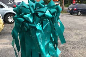 Otisville NY Woman Carrying Ribbons