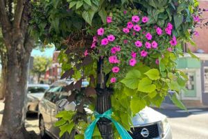 Pennsylvania-Doylestown-01