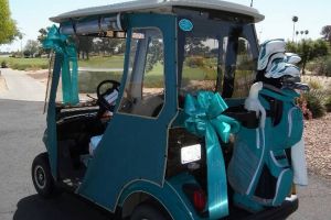 Sun City AZ Teal Golf Cart