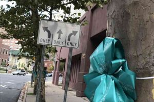 Trenton New Jersey Trees Teal Ribbons Down Street